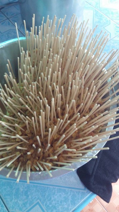 แหม่มหมูสะเต๊ะ